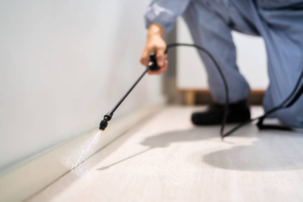 Licensed Pest Control service in Parowan, UT - Show Me Pest Control